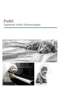 Pudel Tagebuch voller Erinnerungen