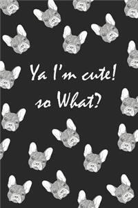 YA I'm Cute. So What?