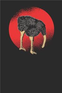Ostrich Under Ground Head
