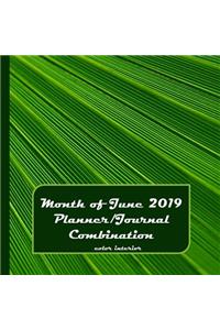 Month of June 2019 Planner/Journal Combination