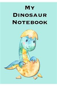 My Dinosaur Notebook