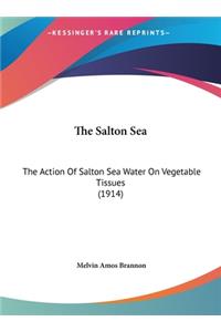The Salton Sea