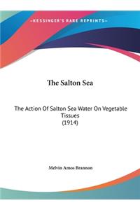 The Salton Sea