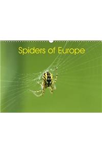 Spiders of Europe 2018