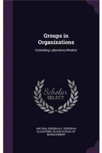 Groups in Organizations