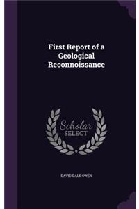 First Report of a Geological Reconnoissance