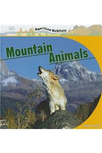 Mountain Animals