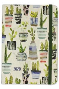 2020 Watercolor Succulents Weekly Planner (16-Month Engagement Calendar)