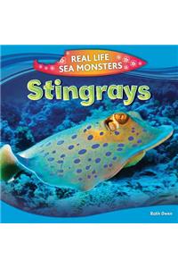 Stingrays