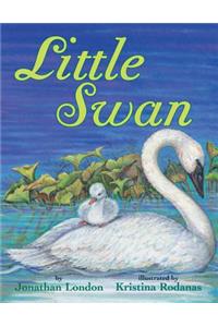 Little Swan