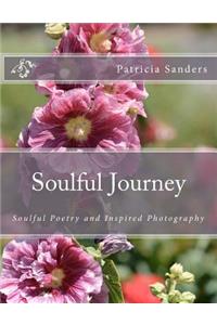 Soulful Journey