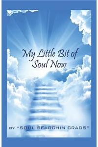 My Little Bit of Soul Now