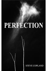Perfection