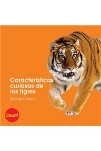 Características Curiosas de Los Tigres