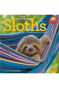 The Original Sloths Wall Calendar 2019