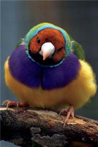 Lady Gouldian Finch Journal