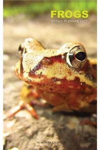Frogs Weekly Planner 2017