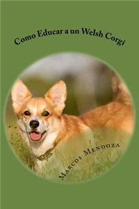 Como Educar a un Welsh Corgi