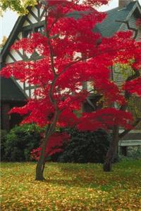 Journal Pretty Foliage Tudor Home