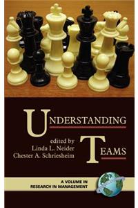 Understanding Teams (Hc)