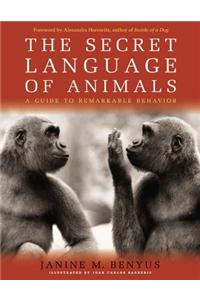 Secret Language of Animals