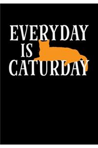 Everyday Is Caturday