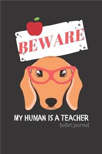 BEWARE My Human is a Teacher
