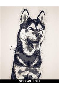 Siberian Husky