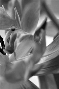 Tulips Notebook