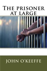 The prisoner at large