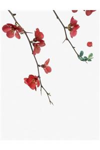Flowering Red Quince Gone Wild Notebook
