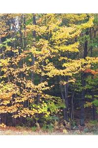 School Composition Book Fall Colors Yellow Leaves 130 Pages