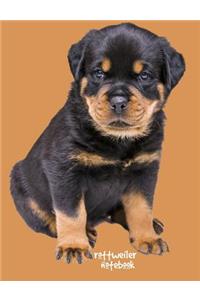Rottweiler Notebook