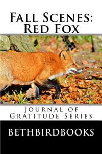Fall Scenes Red Fox