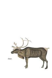 2019-2023 Five Year Planner Dope Deer