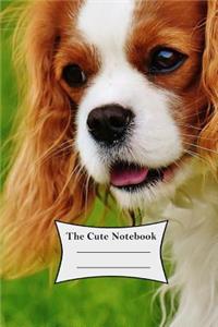 Cute Notebook