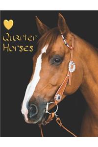 Quarter Horse