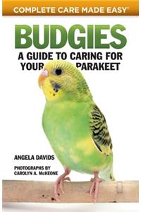 Budgies