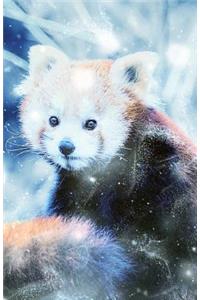 Journal Notebook For Animal Lovers - Red Panda