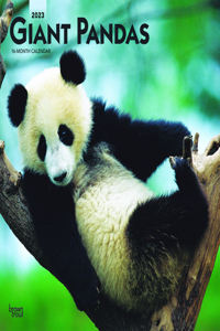 Giant Pandas 2023 Square