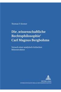 Die «Wissenschaftliche Rechtsphilosophie» Carl Magnus Bergbohms
