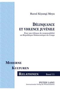 Délinquance Et Violence Juvénile