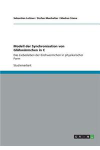 Modell der Synchronisation von Glühwürmchen in C