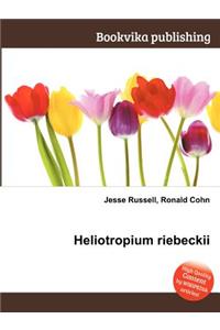 Heliotropium Riebeckii