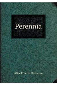 Perennia