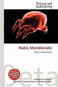 Nabis Meridionalis