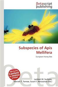 Subspecies of APIs Mellifera