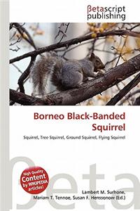 Borneo Black-Banded Squirrel