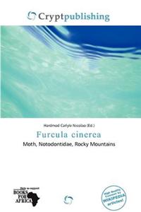Furcula Cinerea