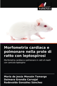 Morfometria cardiaca e polmonare nella prole di ratto con leptospirosi